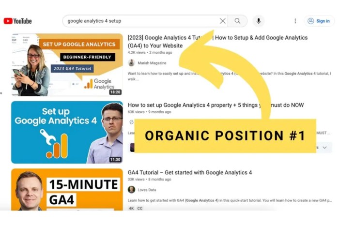 Pure seo interviews maria johnson