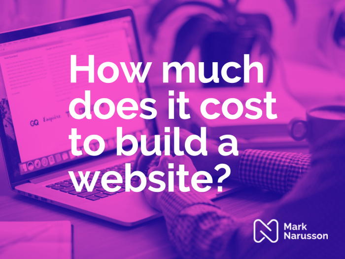 Understanding the cost of developing a new b2b website