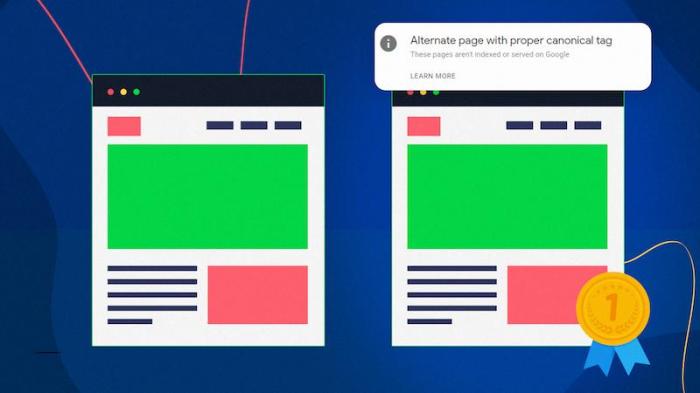 How To Fix “Alternate page with proper canonical tag” | Onely What are canonical tags