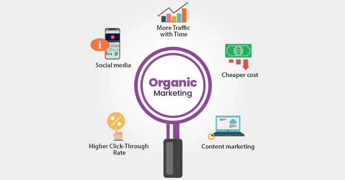 Marketing organic digital paid vertical growth Marketing organic digital paid vertical growth