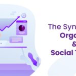 Social posts organic traffic