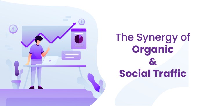 Social posts organic traffic