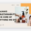 What makes a brand successful a professional services perspective