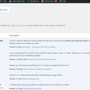 Make wordpress site auto update
