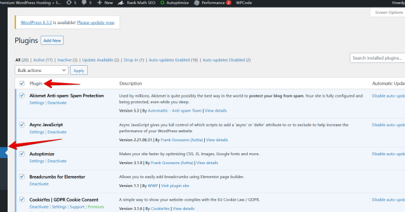 Make wordpress site auto update