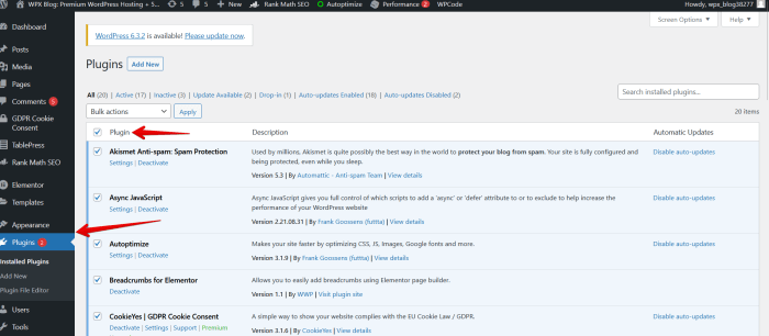 Make wordpress site auto update