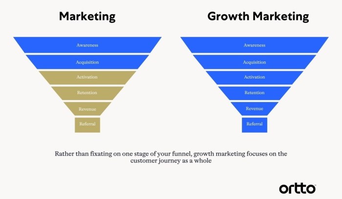 What are the top marketing techniques of high growth organizations