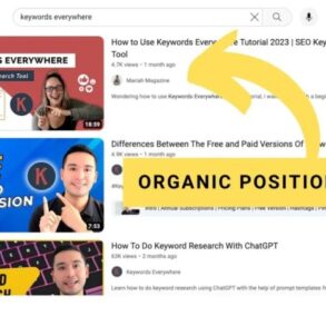 Pure seo interviews maria johnson