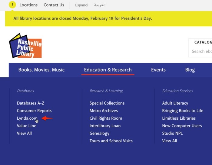 Lynda platform access learning now online campus wide available mcmaster Access free lynda com courses with auckland libraries membership card