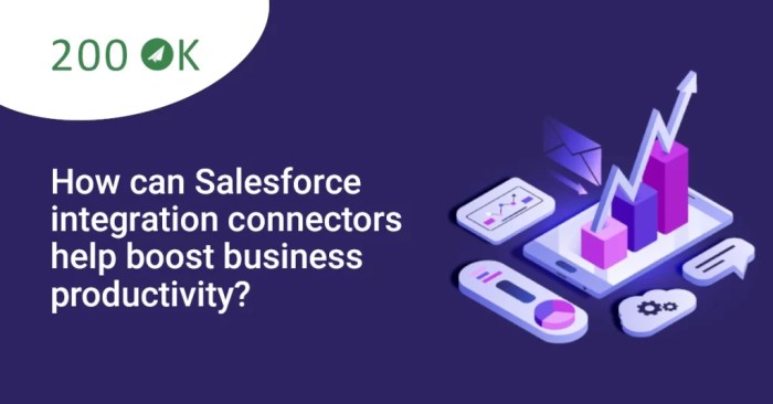Salesforce Integration Strategies for Seamless Business Operations Salesforce connectors seamless integration