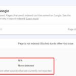 Google search console how to fix blocked due to other 4xx issue