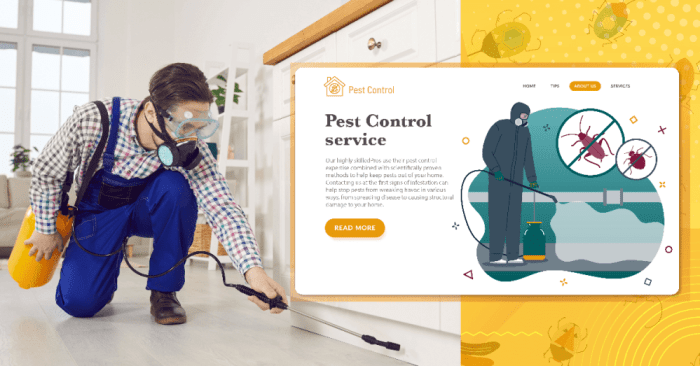 Pest control seo site design guide