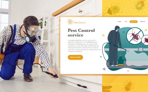 12 tips to optimize your pest control images for better web design social media and seo