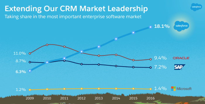 Salesforce annual revenue a key indicator of success