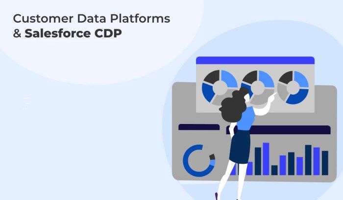 Salesforce cdp innovations interactions smarter strategies helps organizations yesterday Salesforce cdp innovations interactions smarter strategies helps organizations yesterday