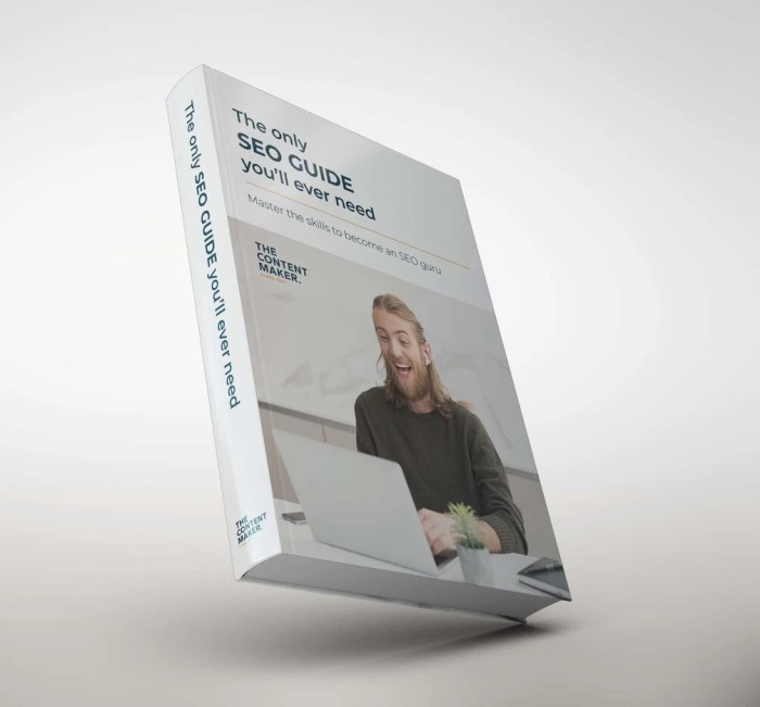 Get your mba in seo with these 10 guides and 5 courses