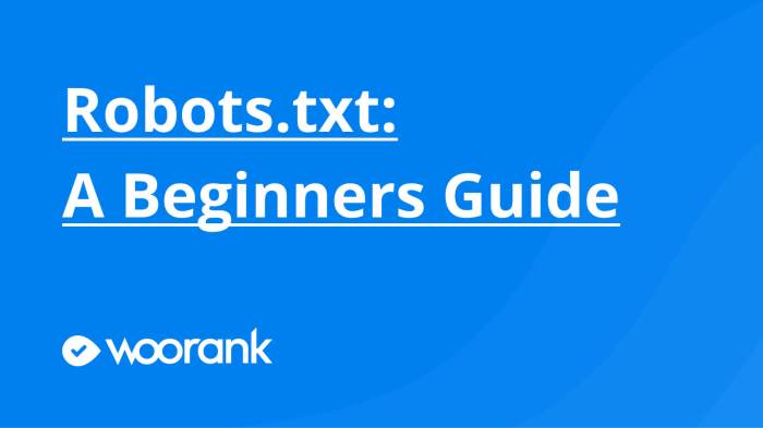 Beginners guide robots txt
