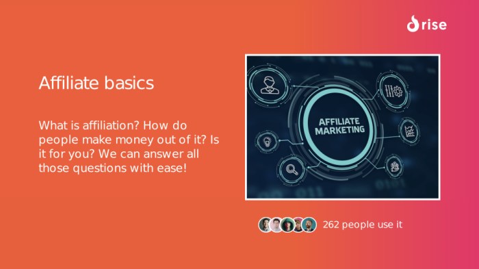 How do affiliate programs work