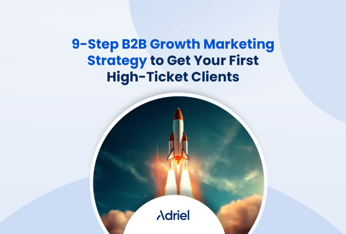 Growth strategy to maximize b2b brand revenue