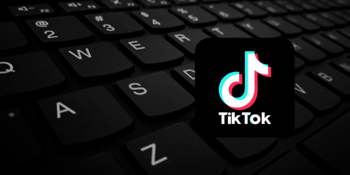 Tiktok launches footnotes its answer to xs community notes