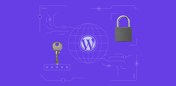 Is wordpress a security concern