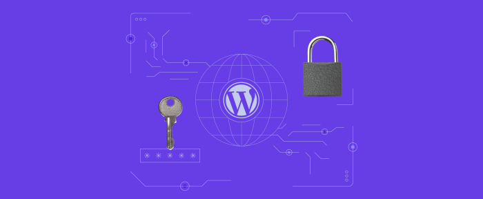 Is wordpress a security concern