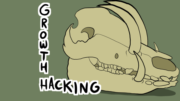 Growth hacking cheat sheet