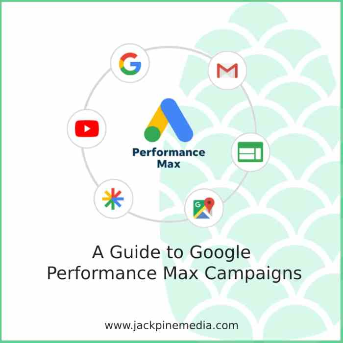 Google performance max new customer goals image controls