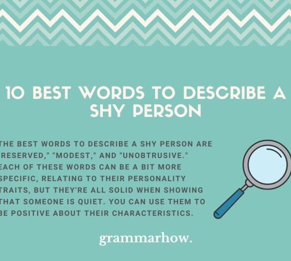 What are focus keywords how do you use them