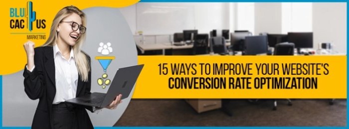 5 possible reasons for your websites low conversion rate