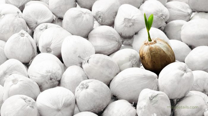 Brand positioning a value based approach
