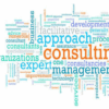 Business development ideas for management consultants1