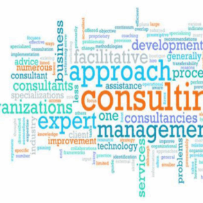 Business development ideas for management consultants1