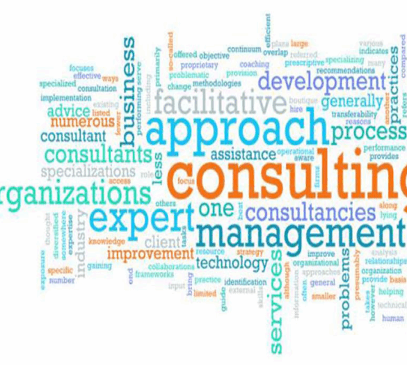 Business development ideas for management consultants1