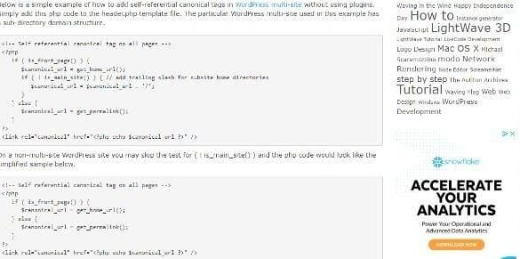 A beginners guide to canonical tags infographics