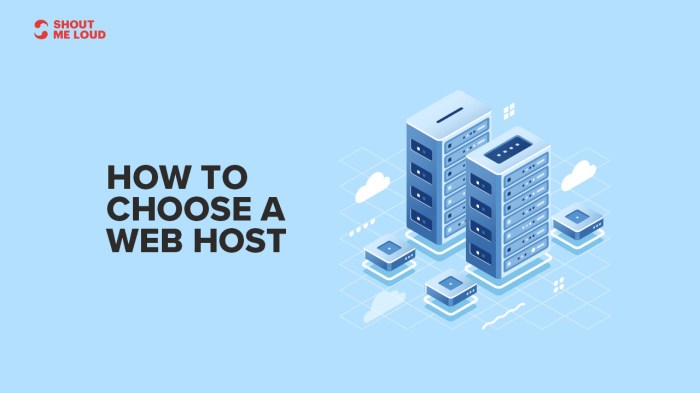 Finding a web host to love