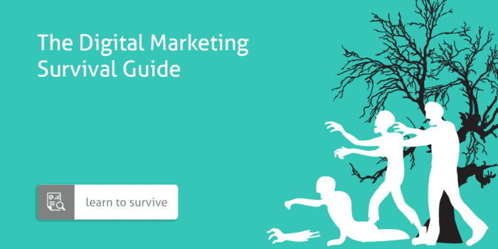 The marketing directors ma survival guide
