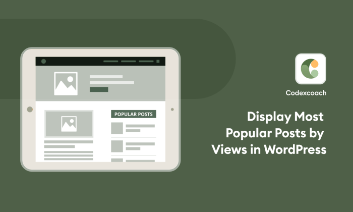 How to display most commented posts in wordpress