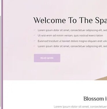 How to create an alert bar in wordpress