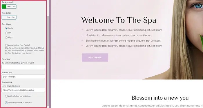 How to create an alert bar in wordpress