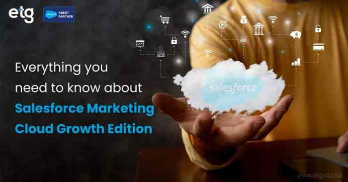 5 ways salesforce marketing cloud supercharges business growth