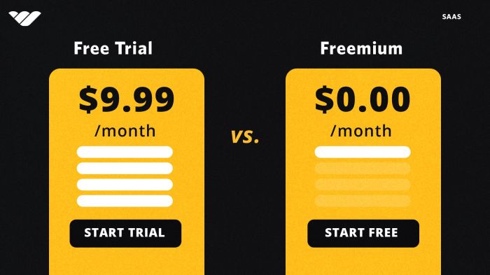 Free trial vs paid trial which is right for you
