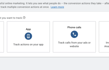 Google ads bid strategy controls