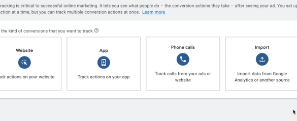 Google ads bid strategy controls