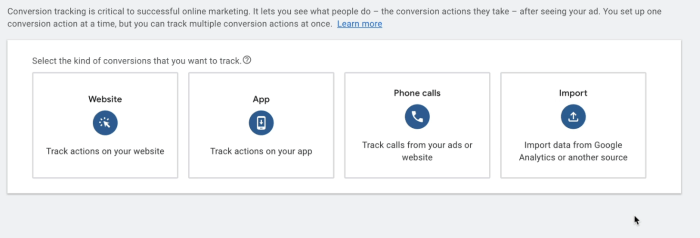 Google ads bid strategy controls