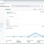 Analytics plaster disaster