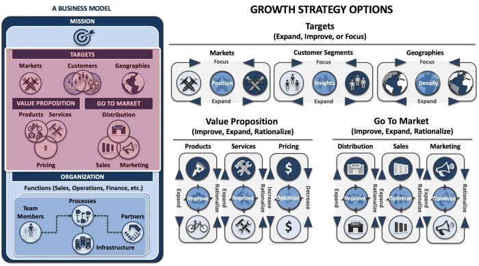 Building a growth strategy for the undifferentiated firm
