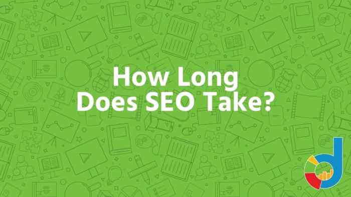 How long does seo take