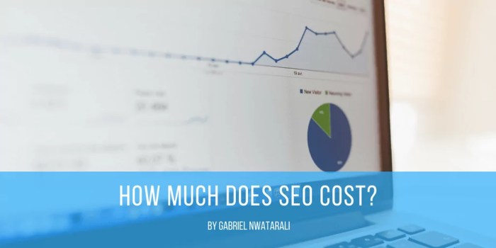 How much does seo cost