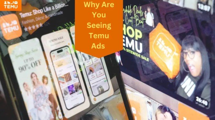 Temu pulls us google shopping ads